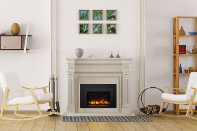 The Ambiance: 30-Inch Electric Insert, available at Hearth & Home of Central New York in East Syracuse