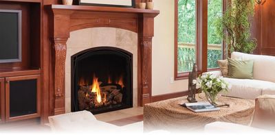 The Mendota: FV41 Arch Fullview, available at Hearth & Home of Central New York in East Syracuse