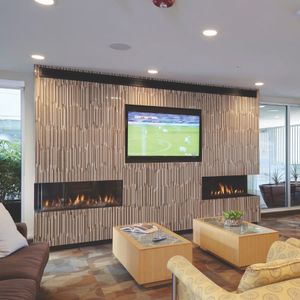Ortal: Corner Left Side LS 44 Gas Fireplace