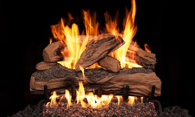 The RH Peterson: Split Oak Designer Plus See-Thru Logs - 20", available at Hearth & Home of Central New York in East Syracuse