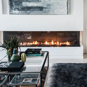 Ortal: Three Sided TS 68 Gas Fireplace