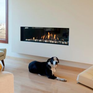 Ortal: Front Facing FR 51 Gas Fireplace