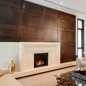 Ortal: Front Facing FR 25H & 75 Gas Fireplace