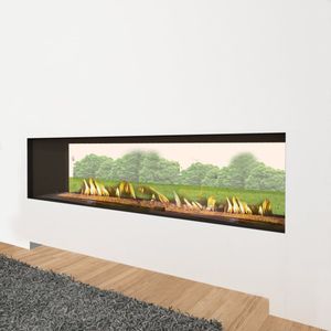 Ortal: Indoor-Outdoor Tu 170 Double Glass Gas Fireplace