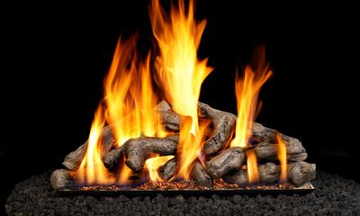 The RH Peterson: Shoreline Driftwood Logs - 24", available at Hearth & Home of Central New York in East Syracuse