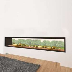 Ortal: Indoor-Outdoor Tu 250 Double Glass Natural Gas Fireplace